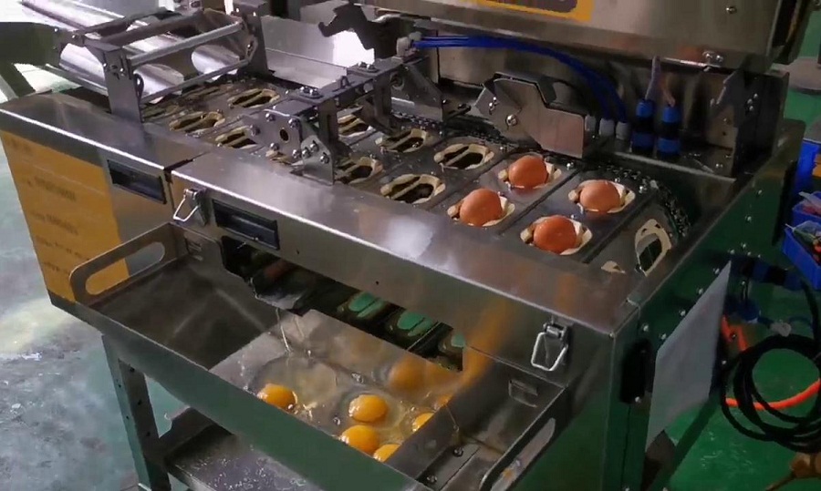 四聯(lián)式敲蛋機(jī)-雙排磕蛋-全蛋液-試機(jī)（原廠(chǎng)）