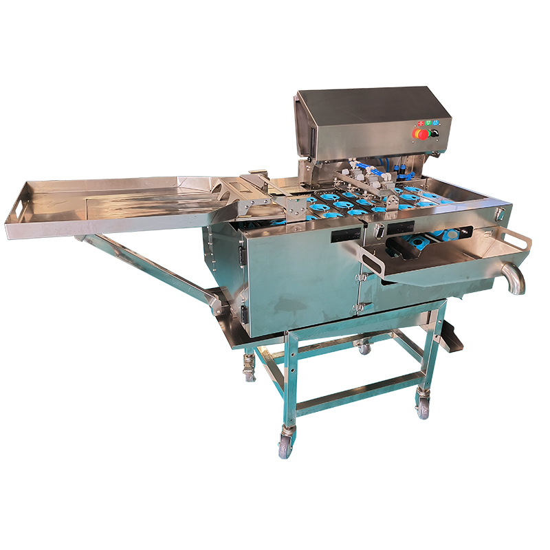 三排敲蛋機(jī)