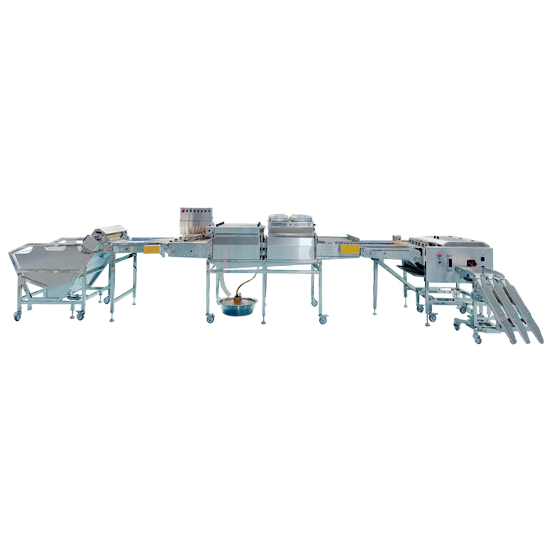 四排蛋品處理組合生產(chǎn)線(xiàn)