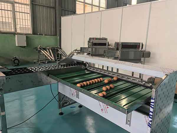 雞蛋分級(jí)生產(chǎn)線(xiàn)