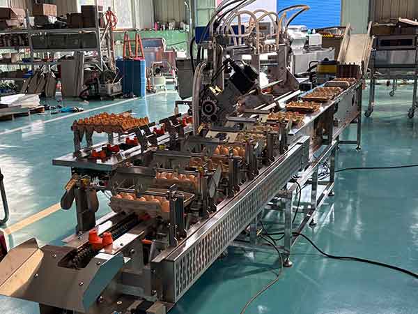 托裝蛋打碼裝盒機(jī)