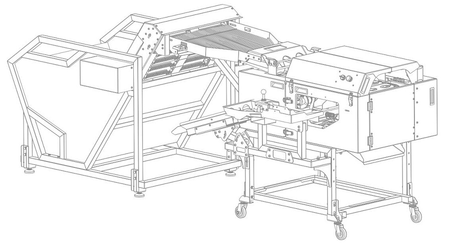 水中上蛋+三排敲蛋機組合生產(chǎn)線
