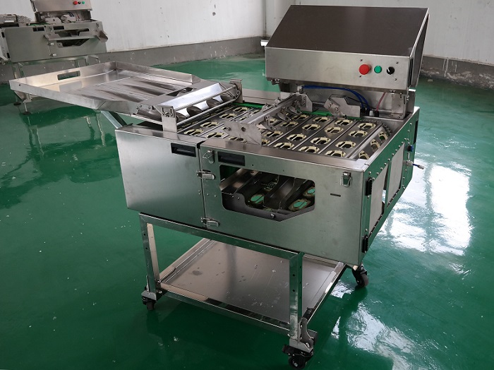 敲蛋機(jī)能否用于大規(guī)模蛋類加工？